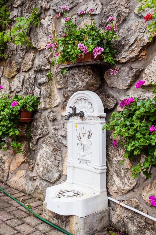 Babaház Villa Bodajk Bagian luar foto